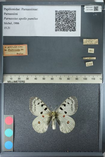 Media type: image;   Entomology 175399